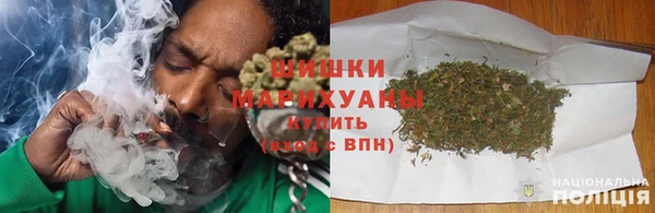 шишки Алексин
