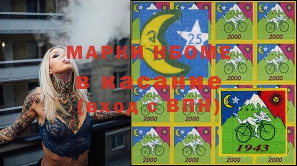шишки Алексин