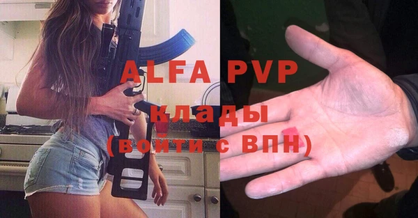 спайс Гвардейск